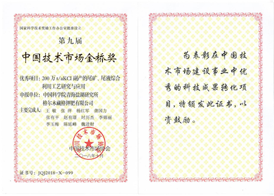 2018年获得中国技术金桥奖