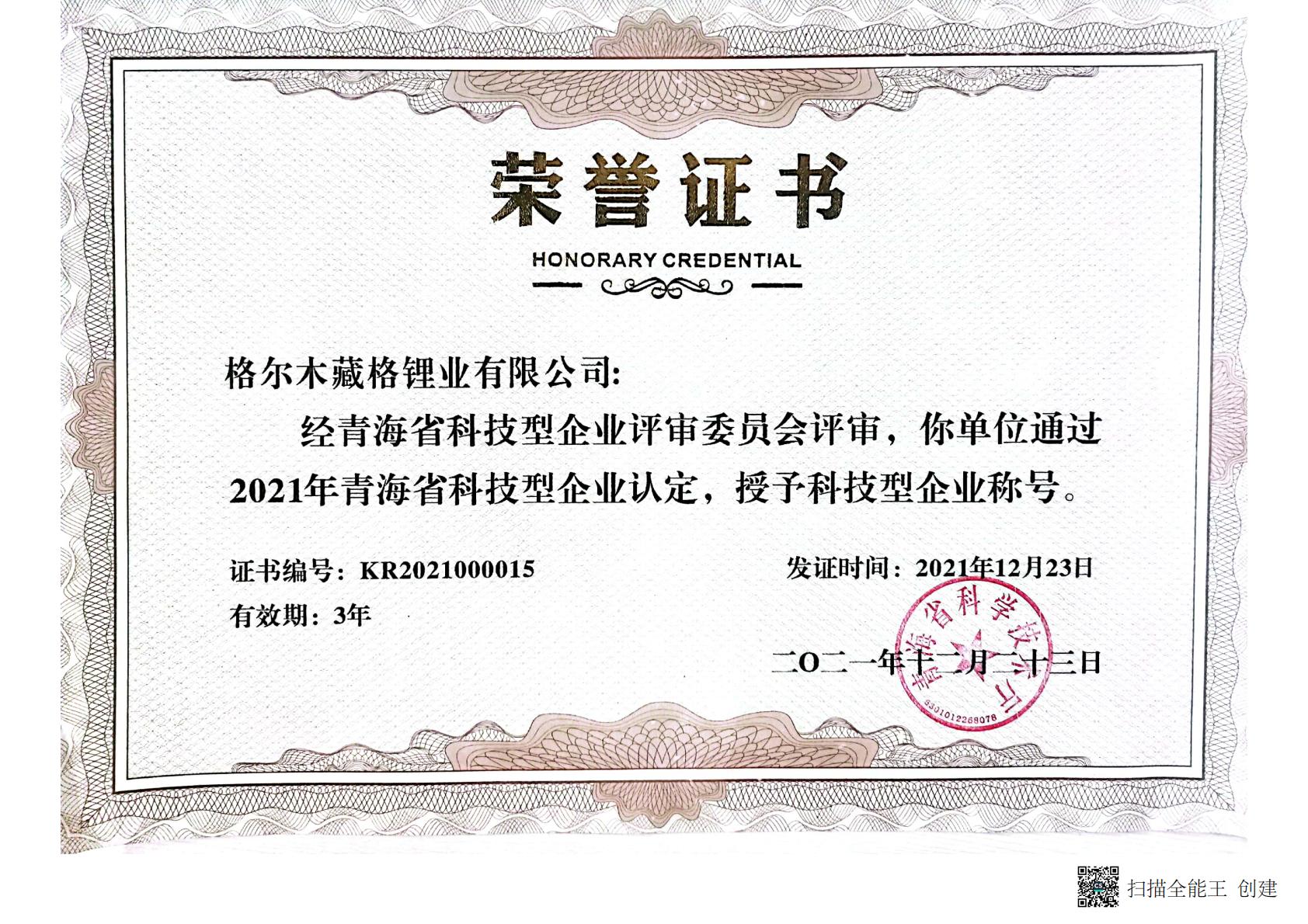 科技型企业称号（荣誉证书）