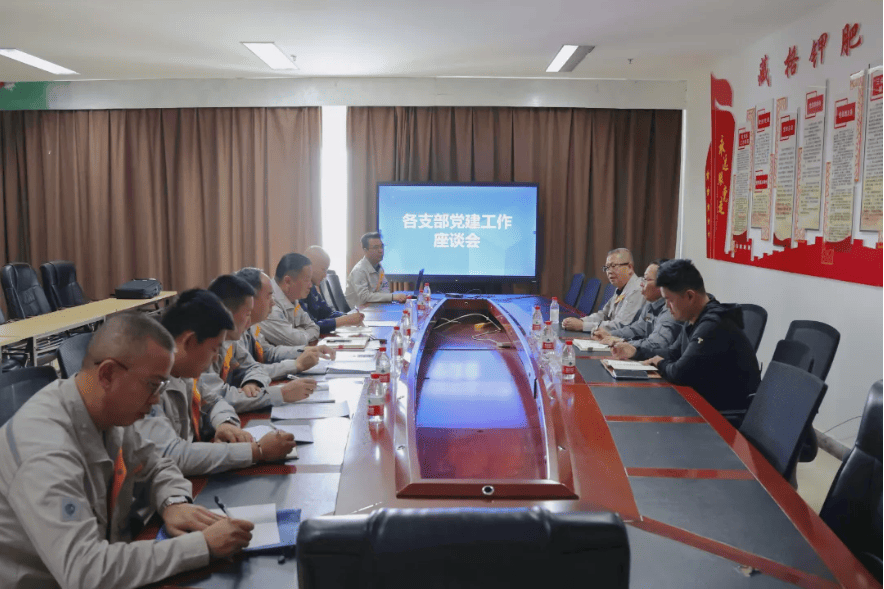 Zangge Mining Leadership Conducts Field Research and Guidance on Party Building at Grassroots Party Branches Zangge Mining Leadership Conducts Field Research and Guidance on Party Building at Grassroots Party Branches