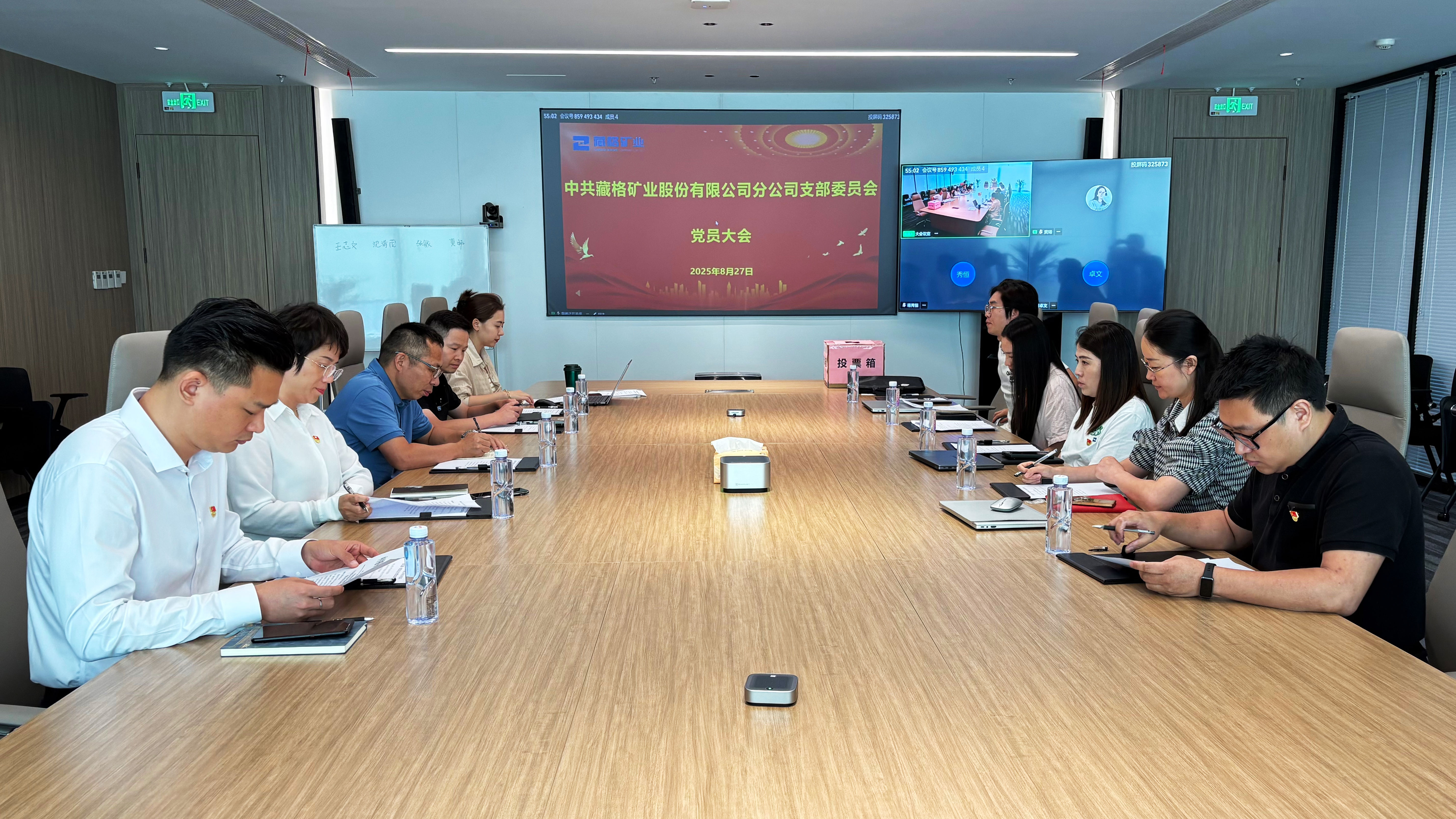 藏格矿业党委下属党支部选举工作圆满完成