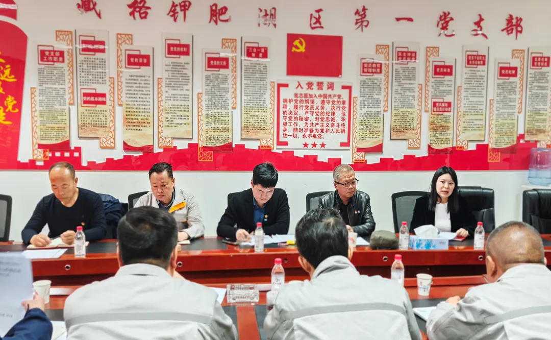 藏格钾肥党委召开第二次（扩大）会议