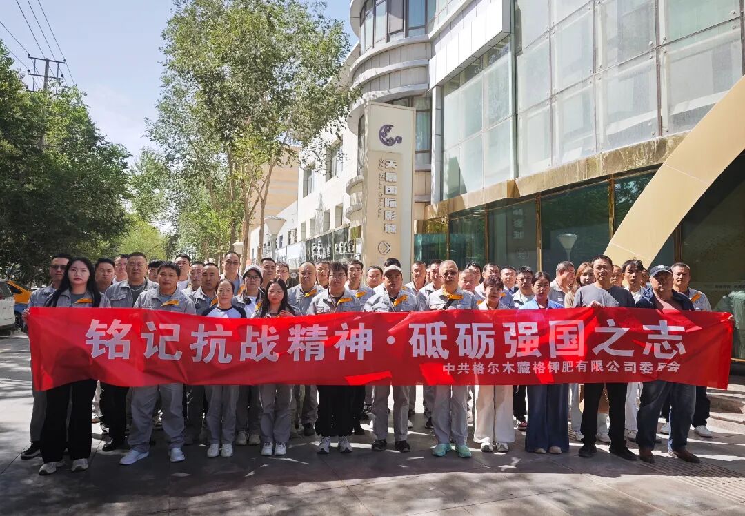 藏格矿业党委开展9月主题党日观影活动