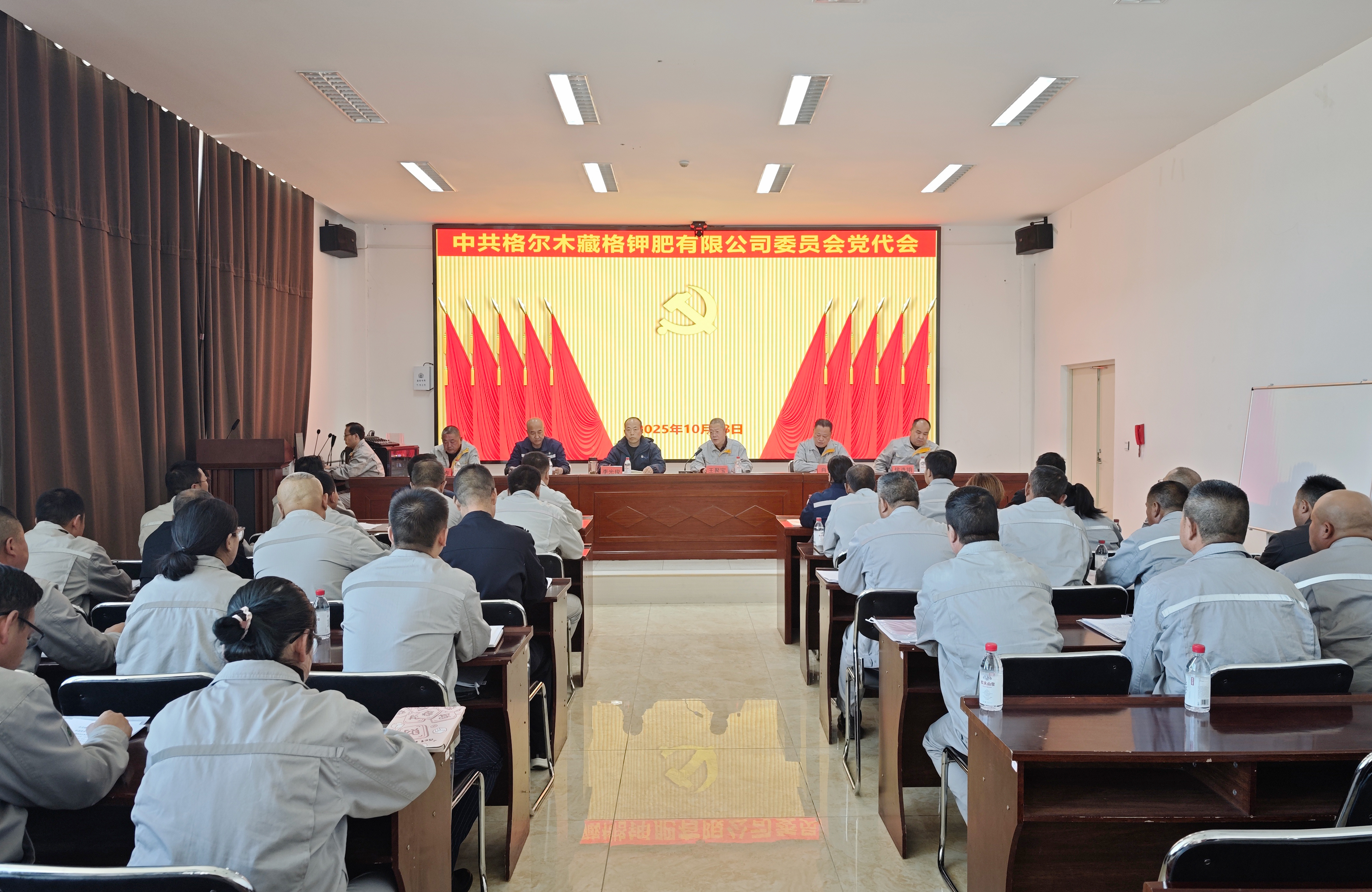 藏格钾肥党委圆满完成“两委”增补选举工作