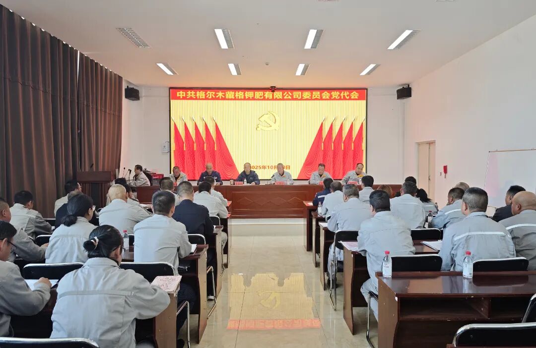 藏格钾肥党委圆满完成“两委”增补选举工作