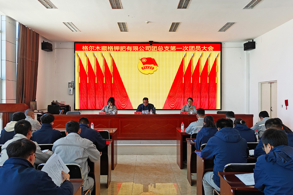 9728太阳集团各级团组织选举工作圆满完成 进一步筑牢青年工作组织根基