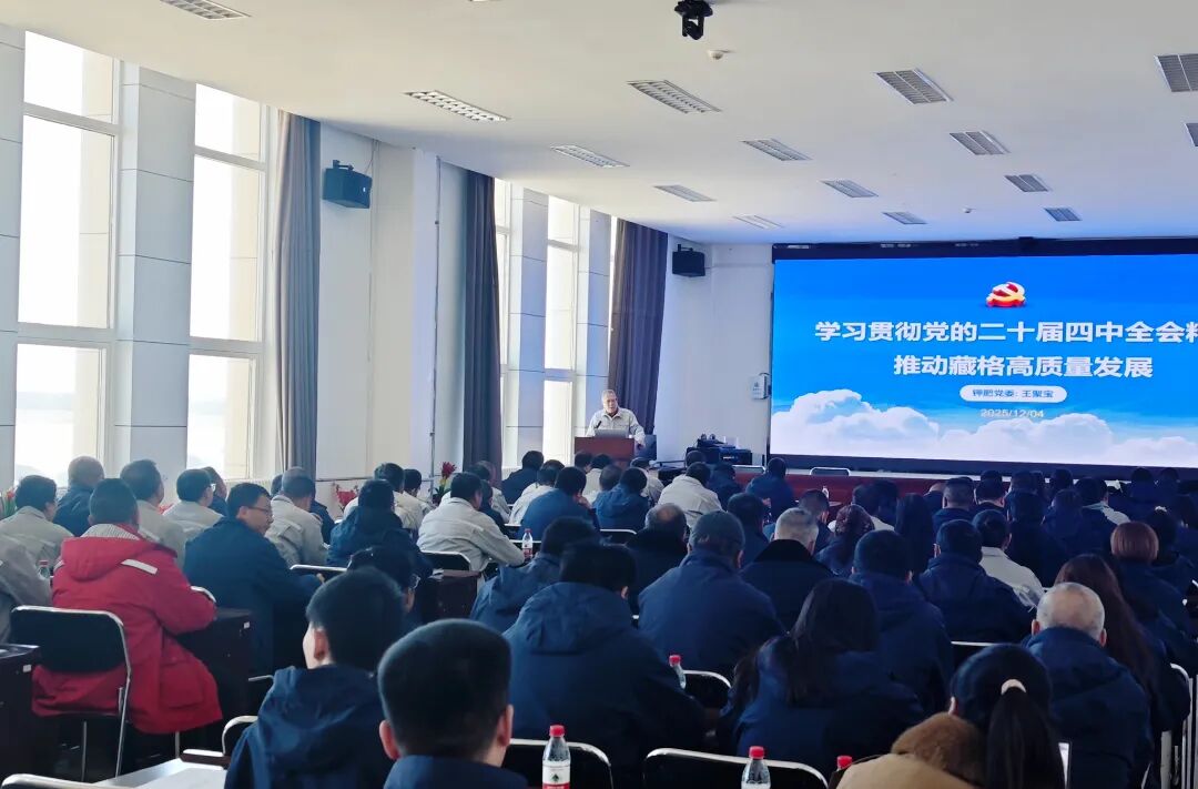 9728太阳集团党委深入学习宣传贯彻党的二十届四中全会精神 以高质量党建引领多元业务高质量发展