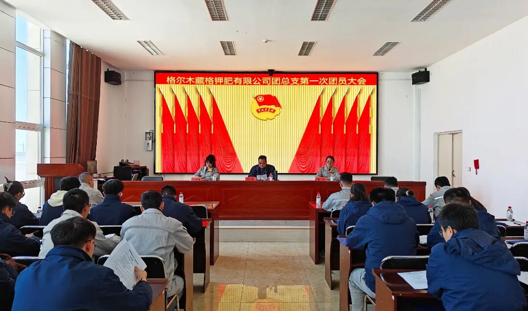 9728太阳集团各级团组织选举工作圆满完成 进一步筑牢青年工作组织根基