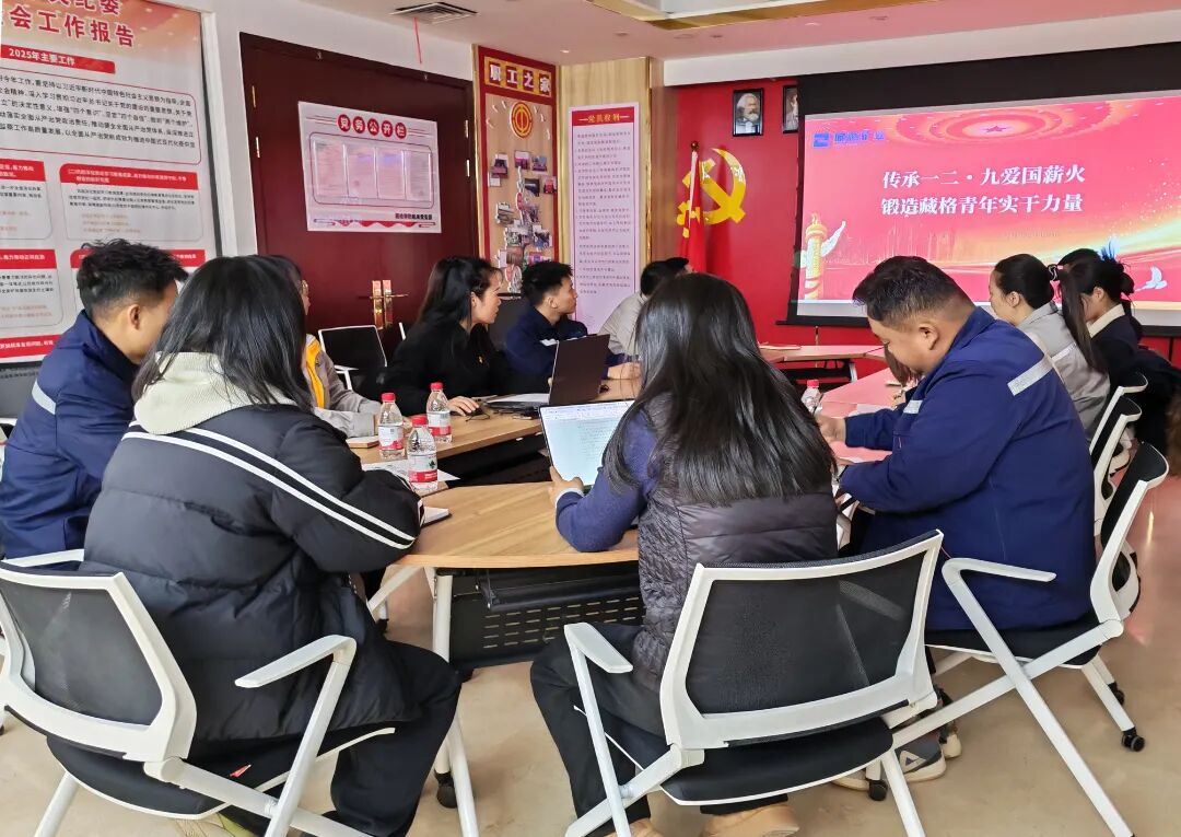 9728太阳集团团委联合党支部开展纪念“一二·九”运动主题教育活动