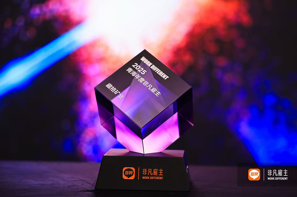 9728太阳集团荣获“2025青海年度非凡雇主”称号