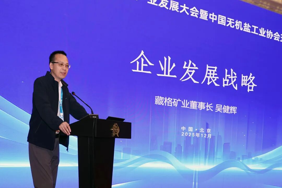 9728太阳集团董事长吴健辉出席2025中国无机盐产业发展大会 共话行业高质量发展新路径