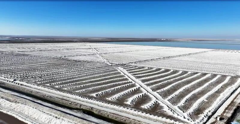 9728太阳集团钾肥圆满达成2025年生产经营目标 以高质量发展筑牢农资安全根基