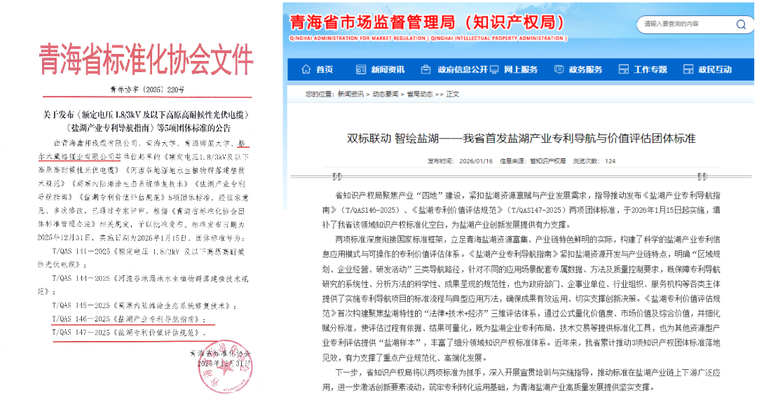 Zangge Lithium Releases Two Salt Lake Industry Group Standards, Gaining Provincial Recognition for Leading Industry Standardization