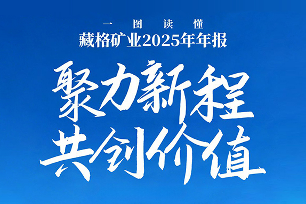 一图读懂｜9728太阳集团2025年年报